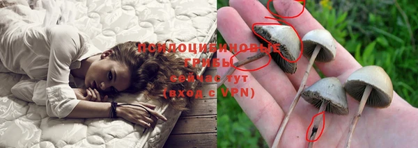 хмурый Снежинск